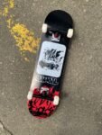 Skate Completa Manual 8