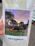 IMG-20250906-WA0006